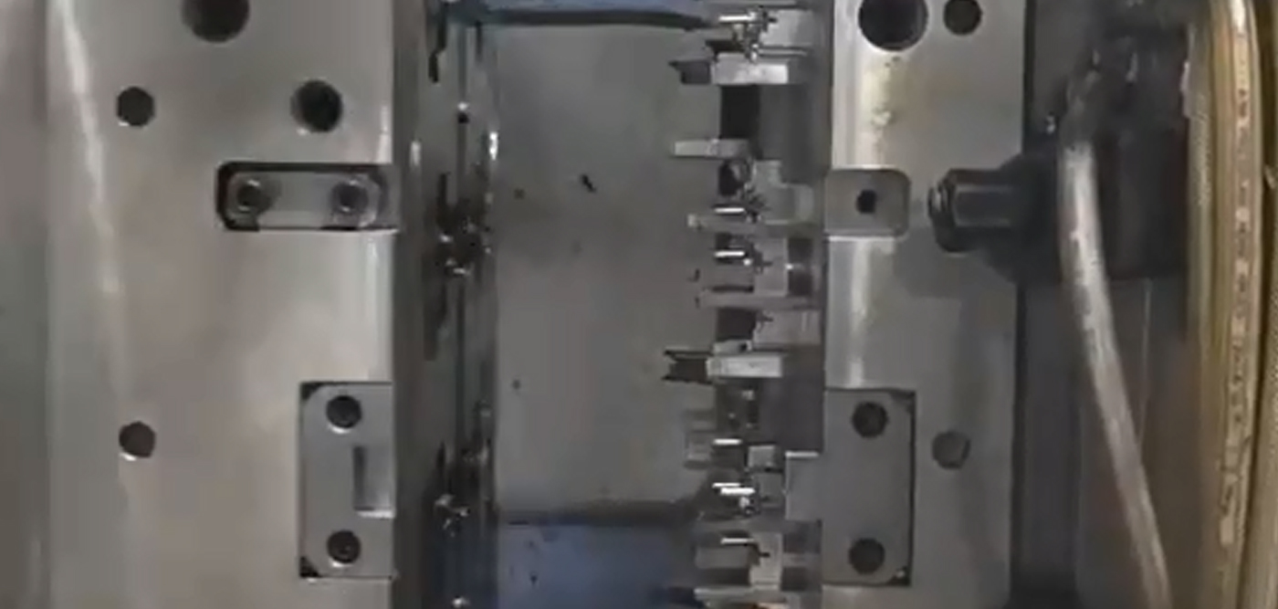 T1 mold trial video-2